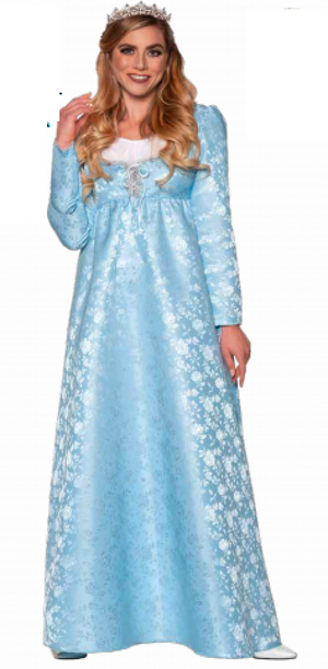 COSTUME RENTAL - A19B Princess Bride 1 pc Large