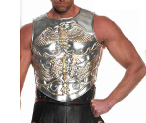 COSTUME RENTAL - F95A Roman Armour Chestpiece (rubber)