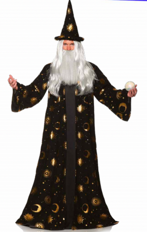 COSTUME RENTAL - P15A Celestial Wizard 2 pc Large