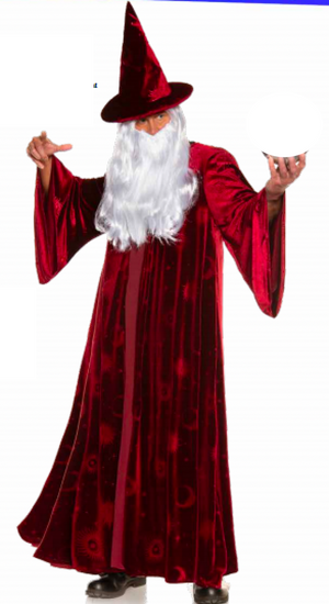 COSTUME RENTAL - P15B Stargazer Wizard 2 pc Large