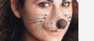 ACCESS: Nose, mouse