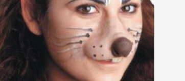 ACCESS: Nose, mouse