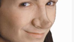 ACCESS: Nose, Pixie elf nose