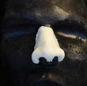 ACCESS: Nose, Standard