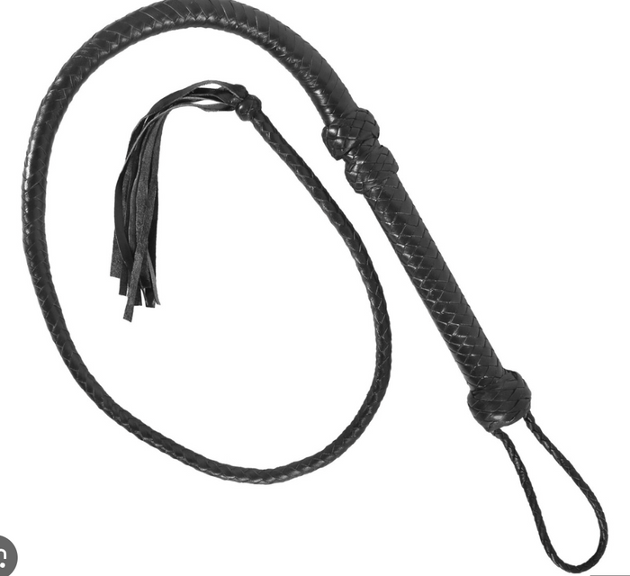 ACCESS: 6' Bull Whip