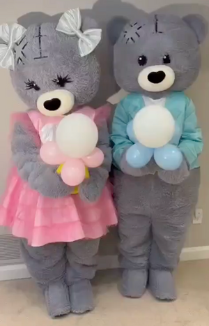 COSTUME RENTAL - R214 Mr Bear 7 pcs