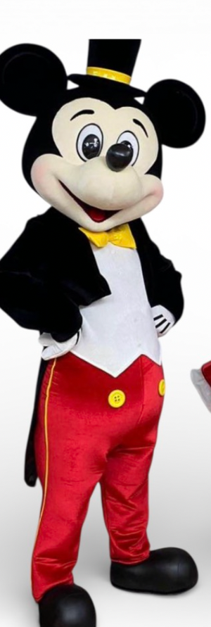 COSTUME RENTAL - R216 Micky Deluxe 7 pc