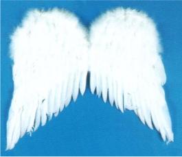 ACCESS: Wings, White Feather