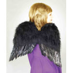 ACCESS: Wings, Black Feather