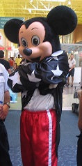 COSTUME RENTAL - R111  Mr Mouse....9 pieces booked