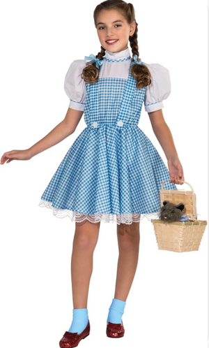 KIDS COSTUME: Dorothy costume