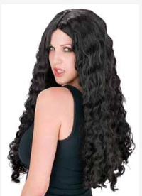 WIG- Long and Luscious Black Wig