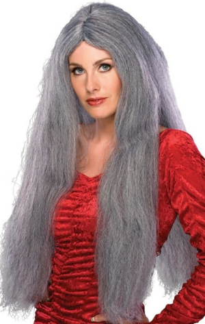WIG: Long Wig 28" Grey