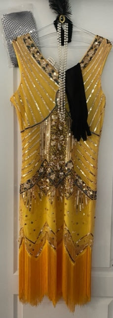 COSTUME RENTAL - J15 1920's BRIGITTE Dress 7 pc s/m