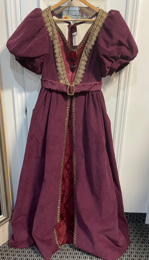 COSTUME RENTAL - c55a 1800's Tea Gown - 2pc large