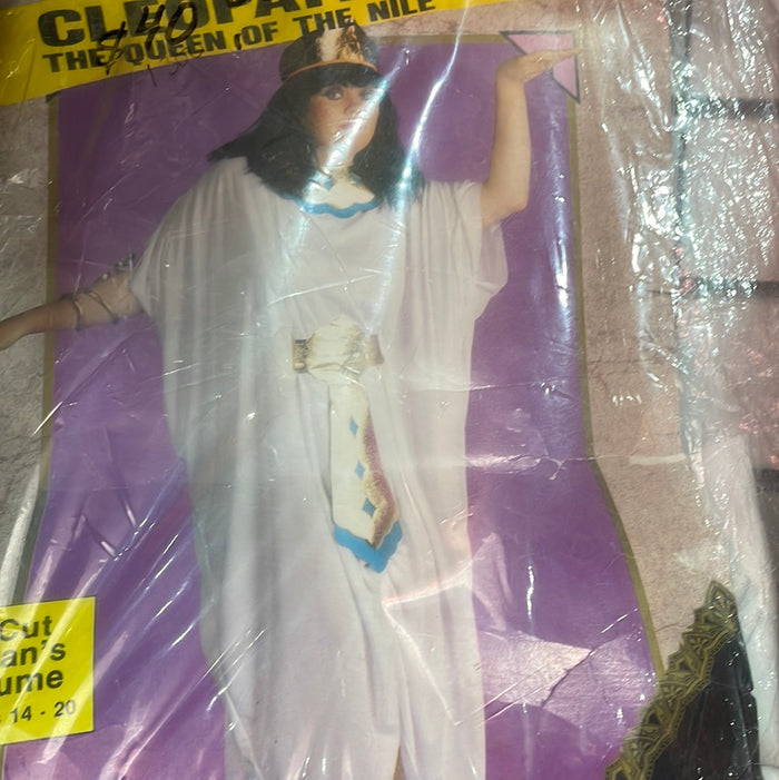 ADULT COSTUMES:  Cleo  Plus Costume